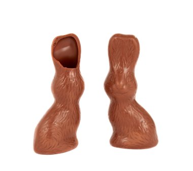 Chocolate bunny isolated clipart