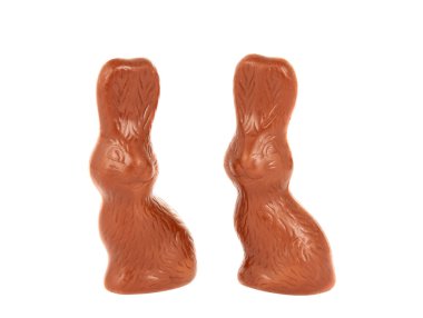 çikolata bunny izole