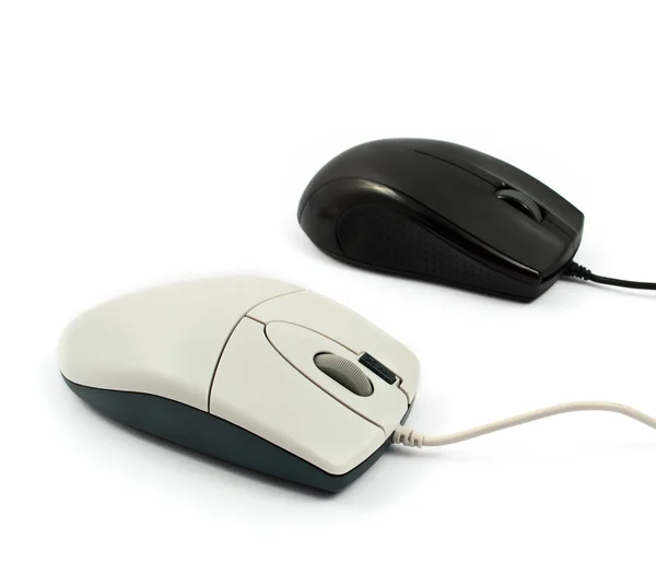 Mouse del computer isolato — Foto Stock