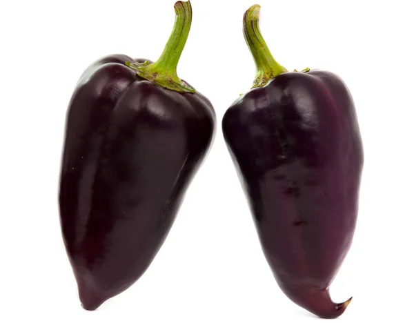 Paprika ungu terisolasi — Stok Foto
