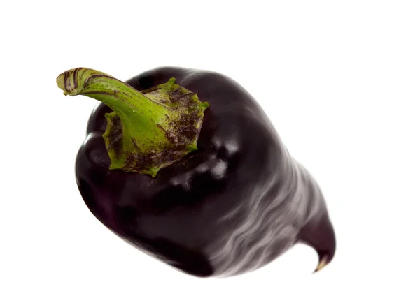 Peperoni viola isolati — Foto Stock