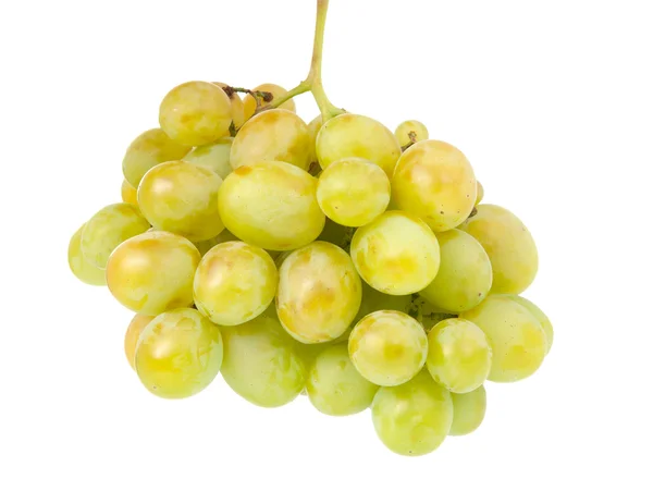 Kiść winogron na białym tle — Zdjęcie stockowe