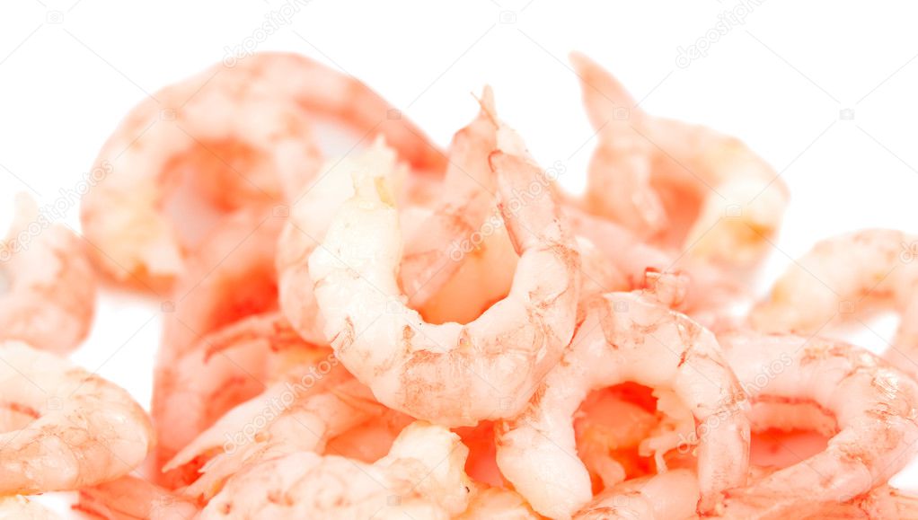 Shrimp meat isolated