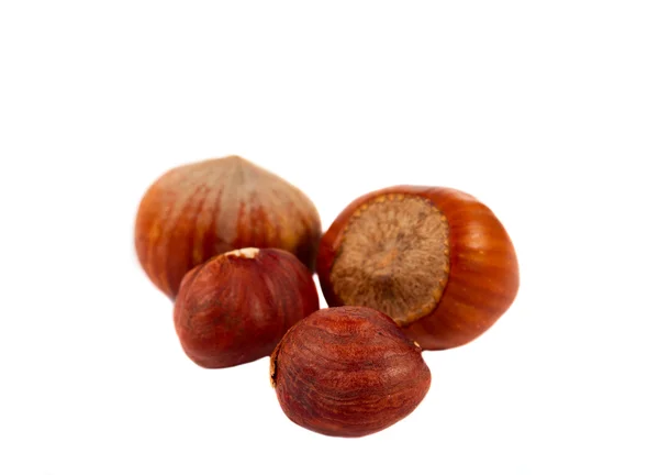 Lískové ořechy, samostatný — Stock fotografie