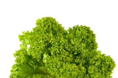 izole salata yaprakları