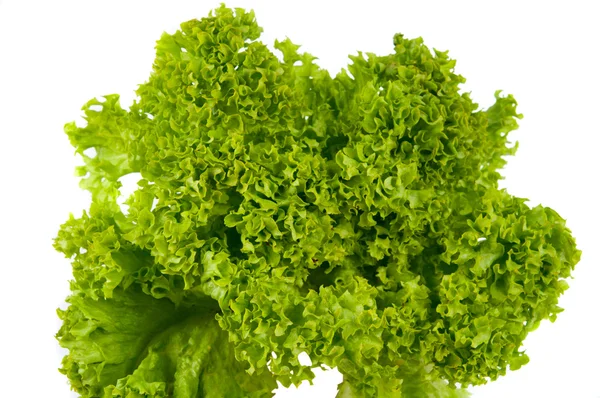 Salad leaves isolated — Stock Photo, Image