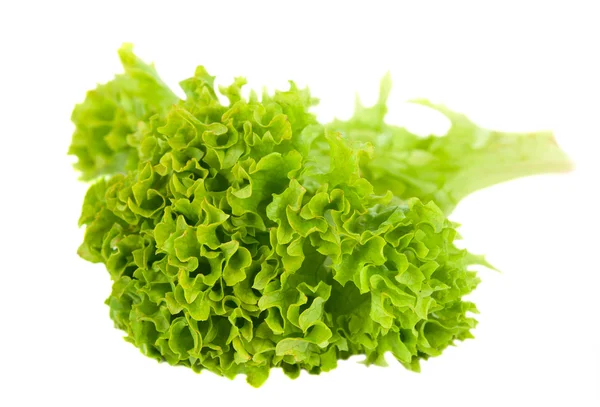 Izole salata yaprakları — Stok fotoğraf