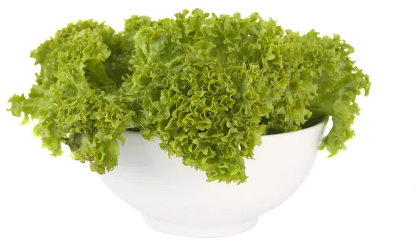 Listy salátu izolované — Stock fotografie