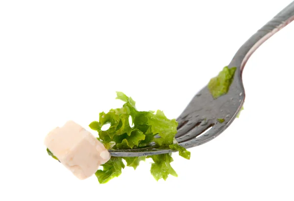 Lettuce on a fork isolated — Stock Photo, Image