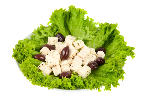 Feta cheese with olives and lettuce on a plate — Stock Photo, Image