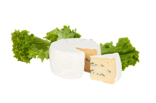 Blue cheese with lettuce — Stock Photo, Image