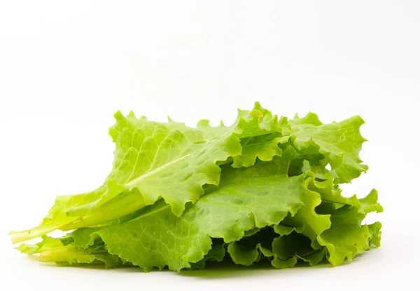 Listy salátu — Stock fotografie