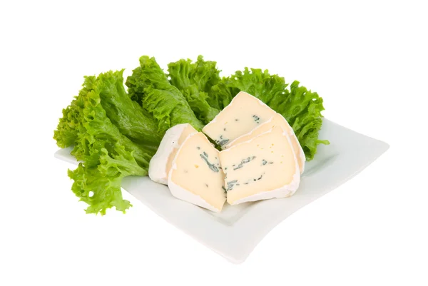 Blue cheese with lettuce on a plate — Stock Photo, Image