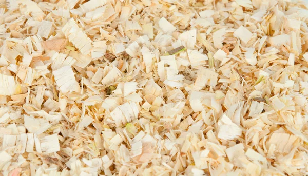 stock image Wood shavings