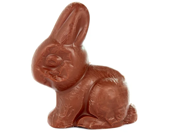 孤立的巧克力兔子 — 图库照片