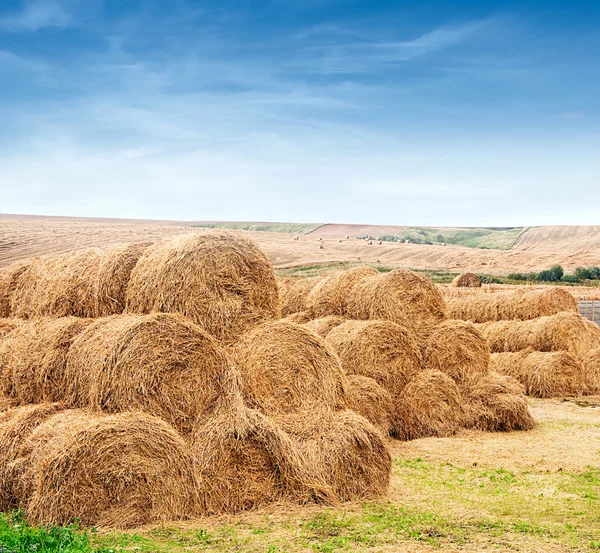 stock image Farm field with gathered crops