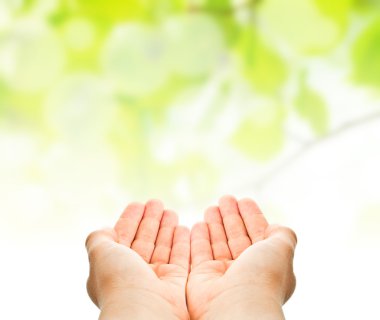 Child hands hold over green leaves background clipart