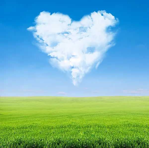 Green field blue sky with cloudy heart — Stock Photo, Image