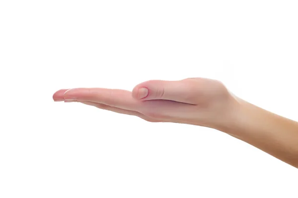 Weibliche Hand, die etwas mit weißem Kopierraum hält oder zeigt, ist — Stockfoto