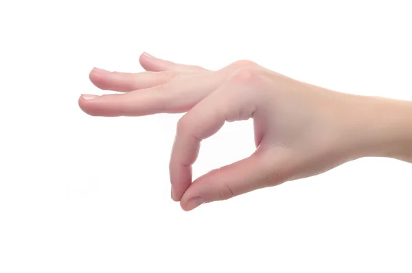 Weibliche Hand ok Zeichen oder hält etwas isoliert auf weißem Rücken — Stockfoto
