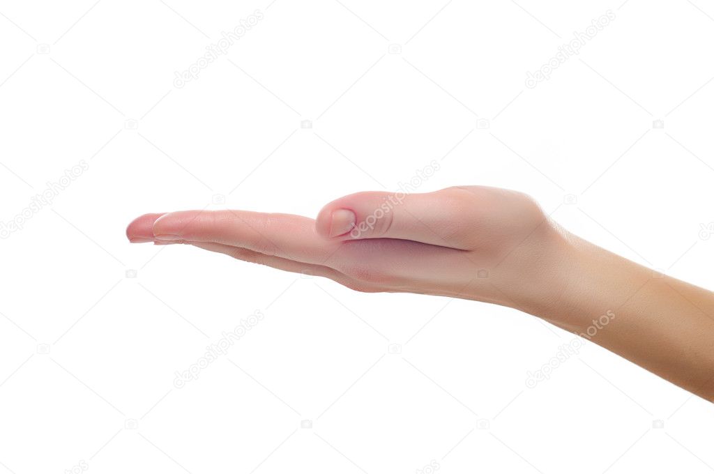 Female hand holding or showing something with white copyspace is