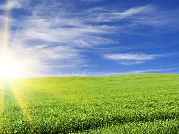 Coucher ou lever de soleil dans le champ vert au-dessus des terres de ciel nuageux bleu — Photo