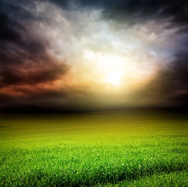 Темное небо зеленое поле травы с солнечным светом — стоковое фото