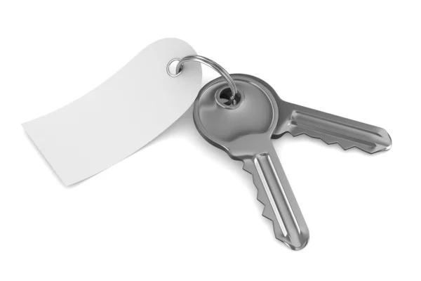 Isolado duas chaves no fundo branco. Imagem 3D — Fotografia de Stock