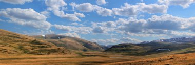 Altay Dağları. güzel yayla manzara. Rusya. Sibirya