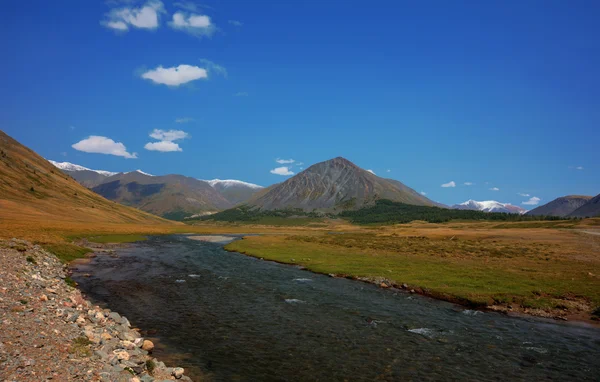 Altaibergen. vackra höglandet landskap. Ryssland. Sibirien — Stockfoto