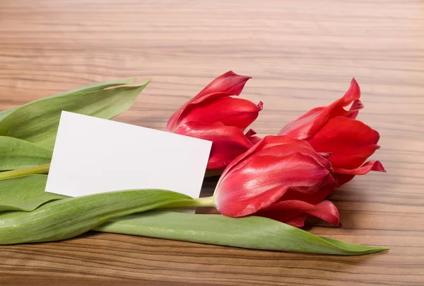 Tres tulipanes con tarjeta blanca — Foto de Stock