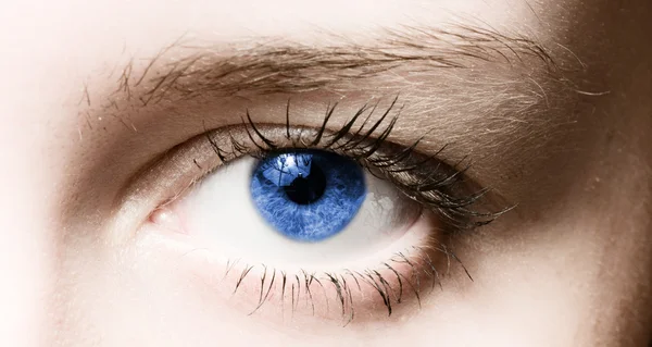 Lidské modré oko. makro střelbu — Stock fotografie