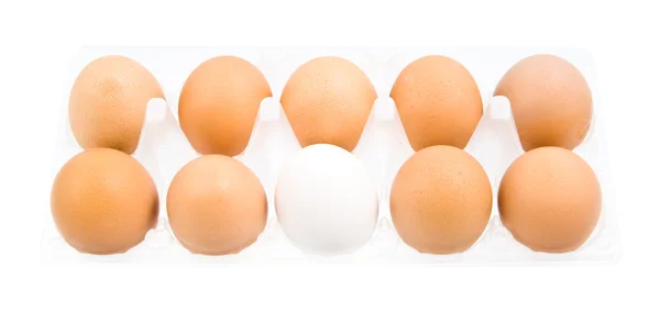 Pack of eggs isolated — Stock Photo, Image