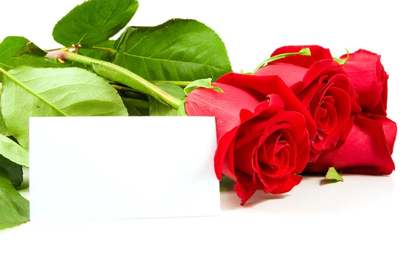 Un bouquet de roses avec une carte blanche pour féliciter . — Photo