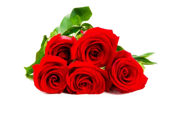 Czerwone róże z bliska strzał — Zdjęcie stockowe