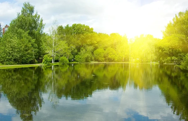 Ormanın ortasında sakin bir göl. — Stok fotoğraf