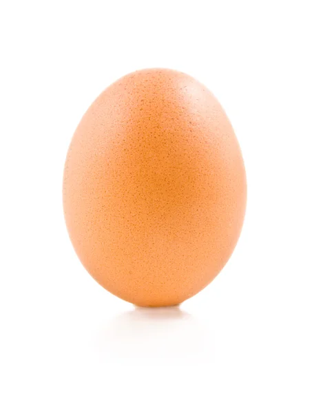 One egg Stock Picture