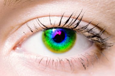 Human eye. macro shooting clipart