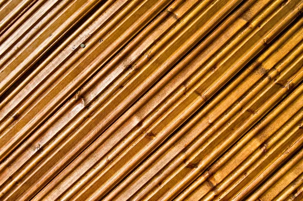 갈색 나무의 구조 — 스톡 사진