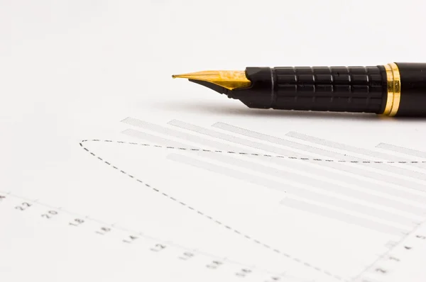 Pen and diagram — Stock Photo, Image