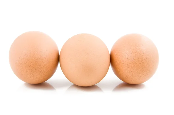 stock image Eggs on white background