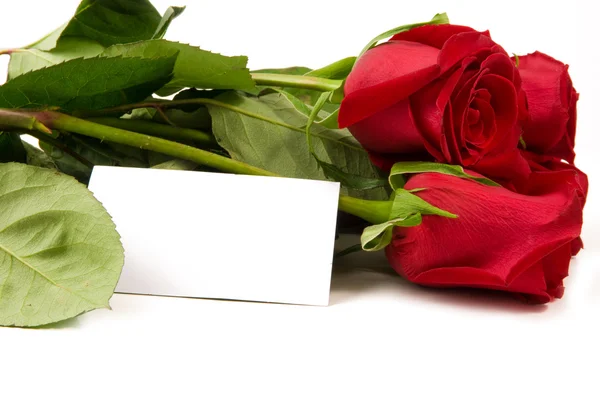 Um monte de rosas com um cartão em branco — Fotografia de Stock