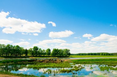 Nehir ve yaz doğası
