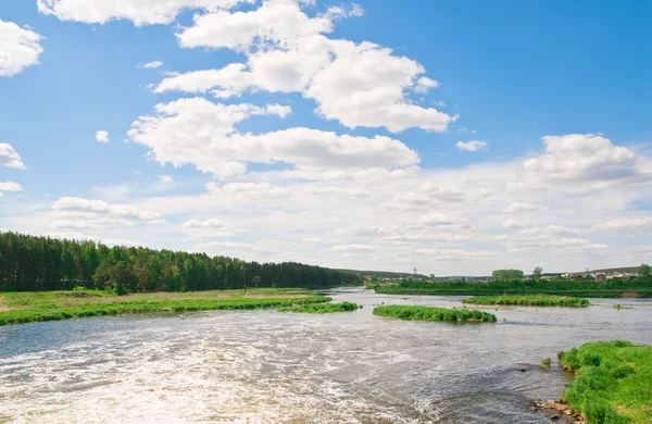 Nehir ve yaz doğası — Stok fotoğraf