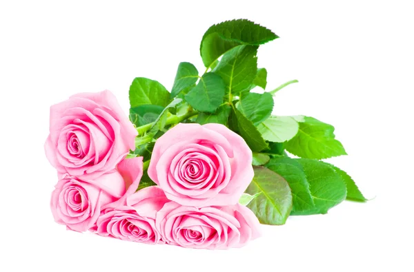 Bouquet of beautiful pink roses — Stock Photo, Image