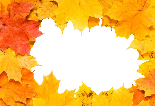 Autumn frame — Stock Photo, Image