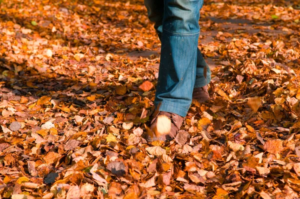 Walking through the autumn leaves — Stock Photo, Image