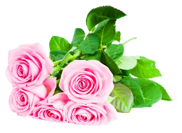 Buquê de belas rosas rosa — Fotografia de Stock