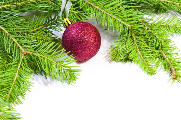 松の枝と分離されたクリスマス ボール — ストック写真