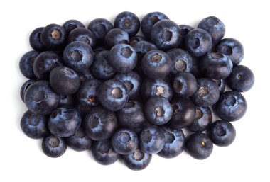 Blueberries clipart